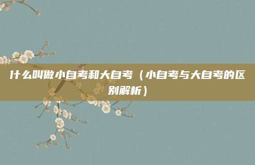 什么叫做小自考和大自考（小自考与大自考的区别解析）