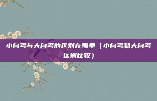 小自考与大自考的区别在哪里（小自考和大自考区别比较）