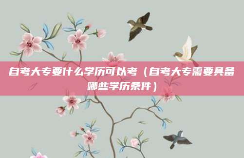 自考大专要什么学历可以考（自考大专需要具备哪些学历条件）