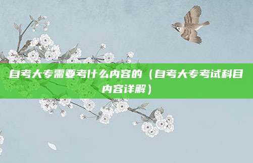 自考大专需要考什么内容的（自考大专考试科目内容详解）