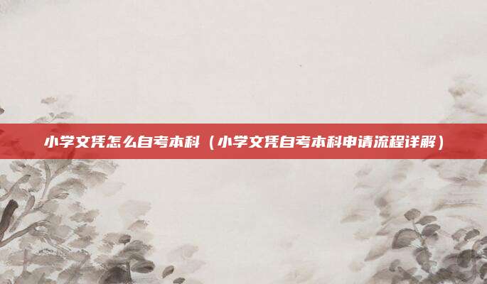 小学文凭怎么自考本科（小学文凭自考本科申请流程详解）