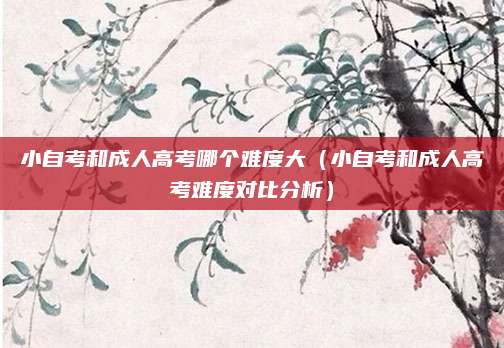 小自考和成人高考哪个难度大（小自考和成人高考难度对比分析）