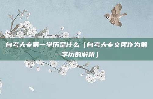 自考大专第一学历是什么（自考大专文凭作为第一学历的解析）