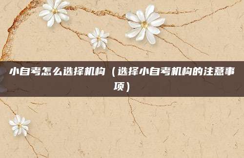 小自考怎么选择机构（选择小自考机构的注意事项）