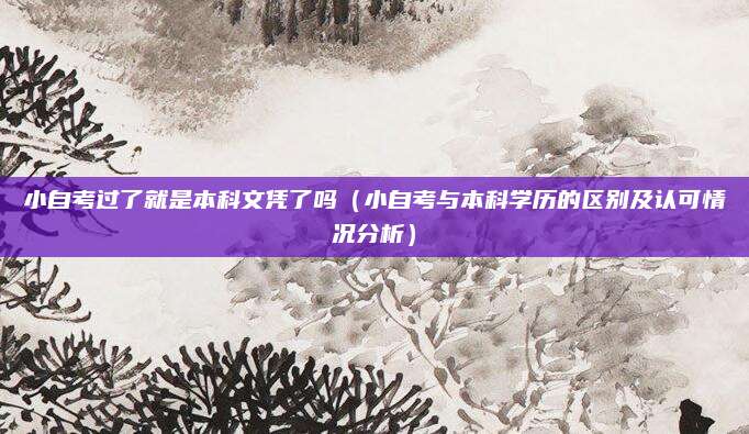 小自考过了就是本科文凭了吗（小自考与本科学历的区别及认可情况分析）