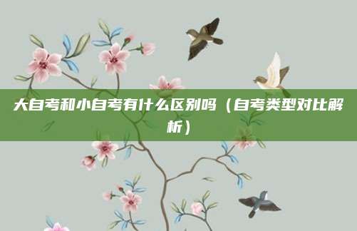 大自考和小自考有什么区别吗（自考类型对比解析）