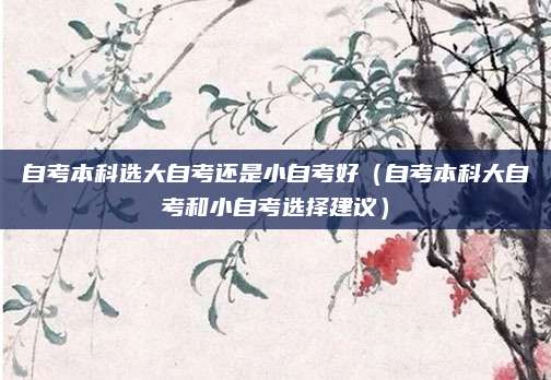 自考本科选大自考还是小自考好（自考本科大自考和小自考选择建议）