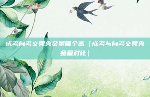 成考自考文凭含金量哪个高（成考与自考文凭含金量对比）