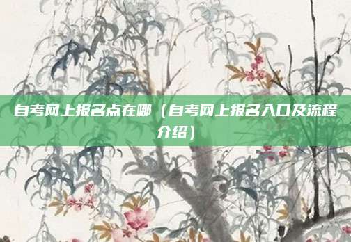 自考网上报名点在哪（自考网上报名入口及流程介绍）