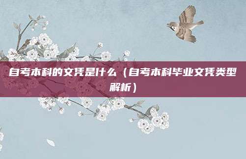 自考本科的文凭是什么（自考本科毕业文凭类型解析）