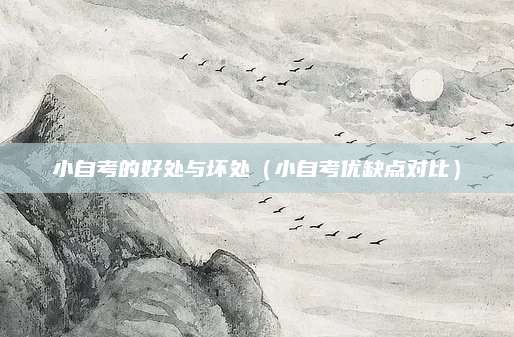 小自考的好处与坏处（小自考优缺点对比）