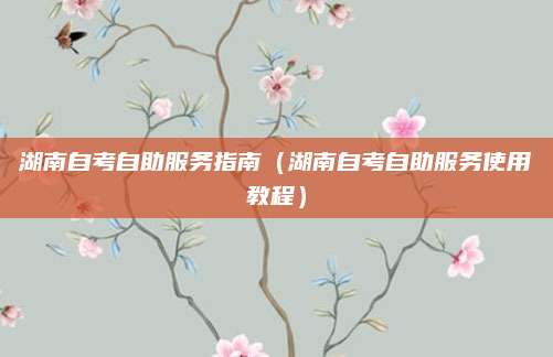 湖南自考自助服务指南（湖南自考自助服务使用教程）