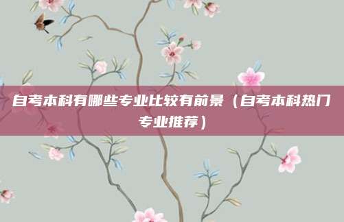 自考本科有哪些专业比较有前景（自考本科热门专业推荐）