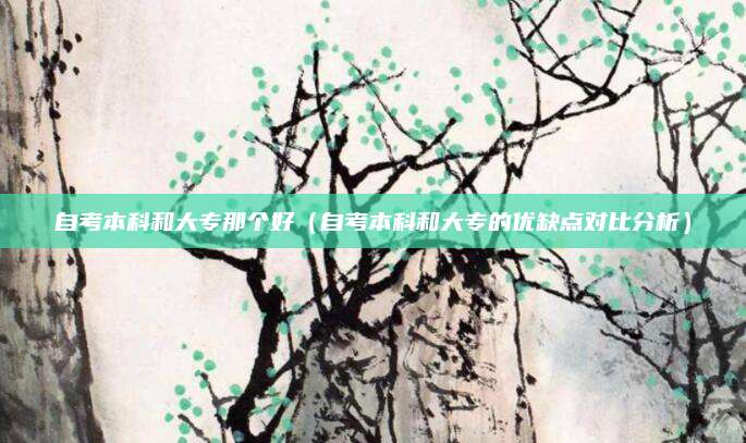 自考本科和大专那个好（自考本科和大专的优缺点对比分析）