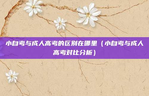 小自考与成人高考的区别在哪里（小自考与成人高考对比分析）