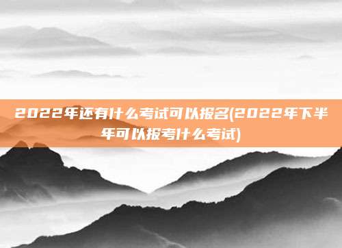 2022年还有什么考试可以报名(2022年下半年可以报考什么考试)
