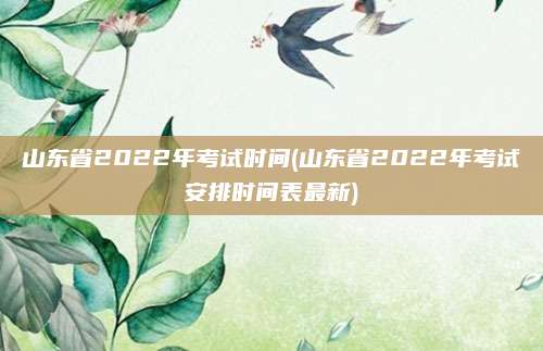 山东省2022年考试时间(山东省2022年考试安排时间表最新)